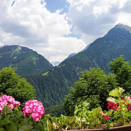 Ξενοδοχείο με διαμερίσματα Haus Am Sonnenhang Φίνκενμπεργκ